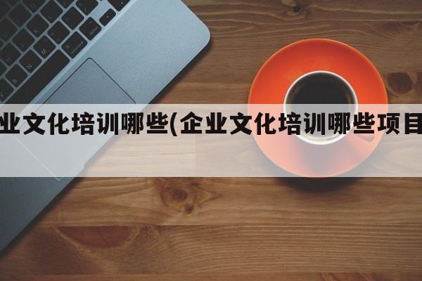 企业文化培训哪些(企业文化培训哪些项目好)